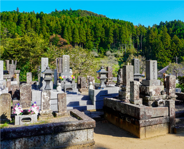 春分・秋分　お彼岸